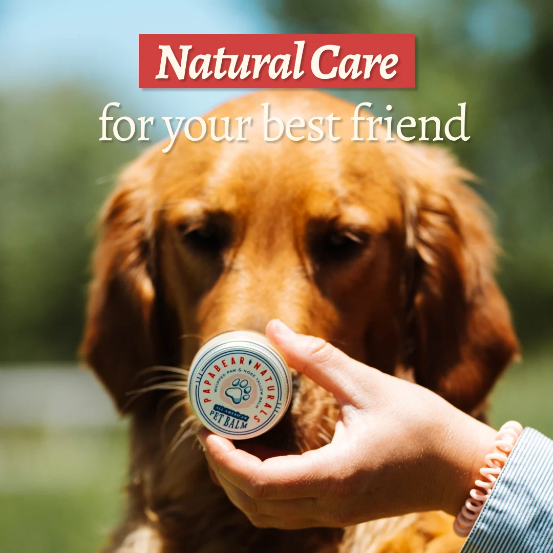 All American Whipped Pet Balm - 1 oz - Image 2